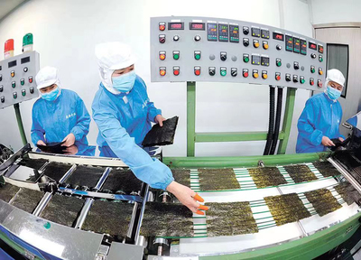 1至4月同比增九成！數字化轉型賦能連云港外貿進出口“新”意滿滿